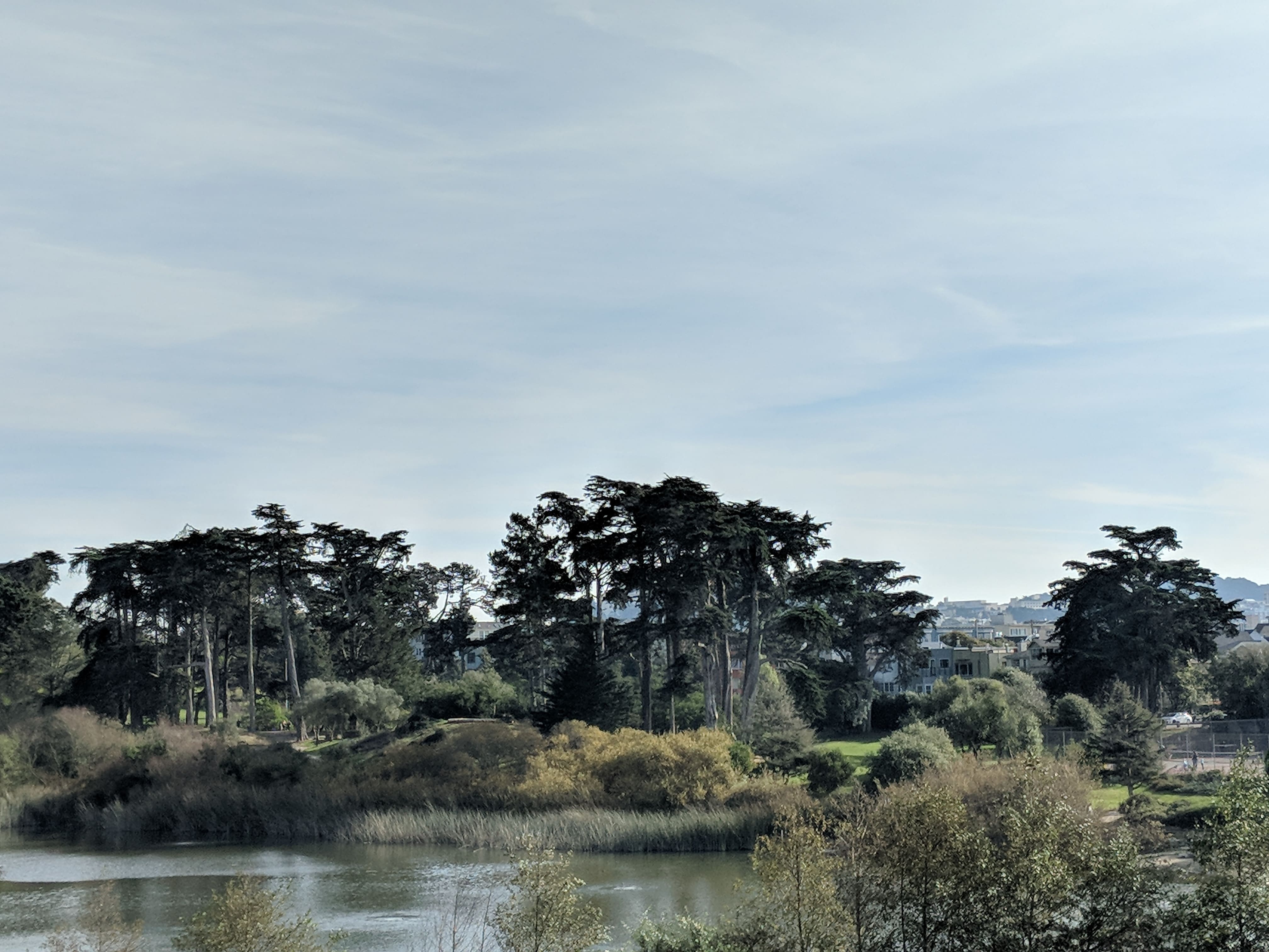 Goodbye SF. My favourite spot in the City near the Presidio