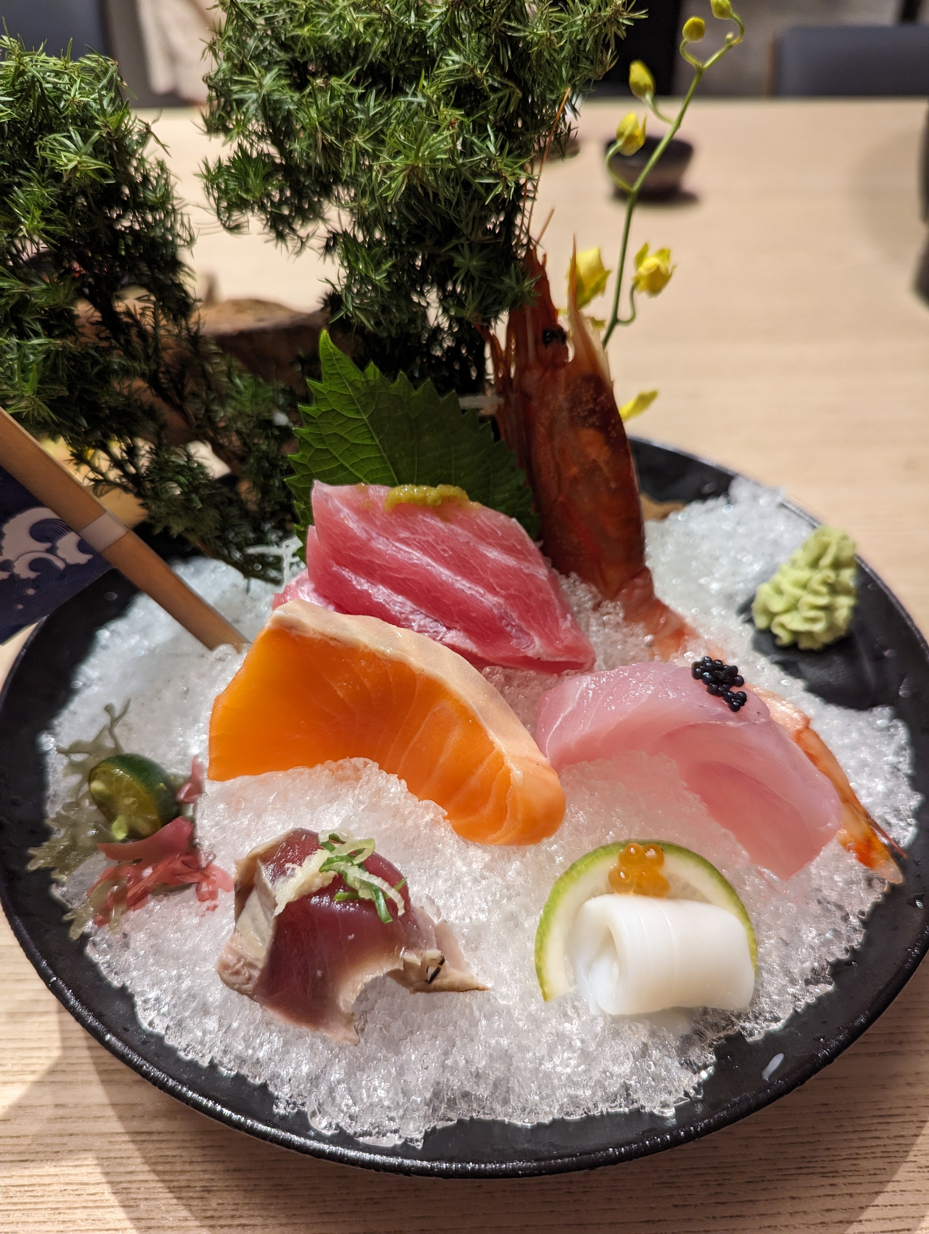 sashimi